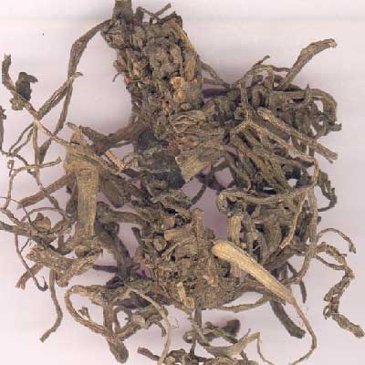 馬齒筧
