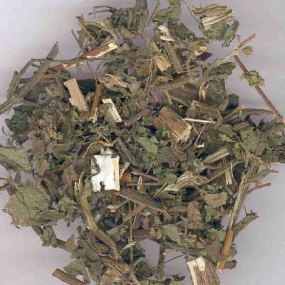 稀簽草